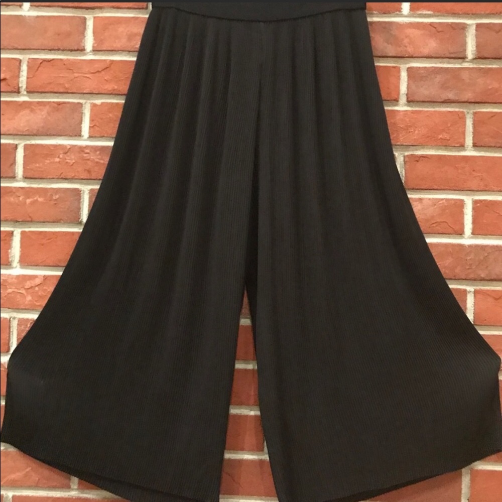 Zara Flowy Pleated Palazzo Pants